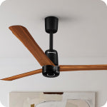 Special Finish Fans