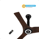 Aris Smart Ceiling Fan