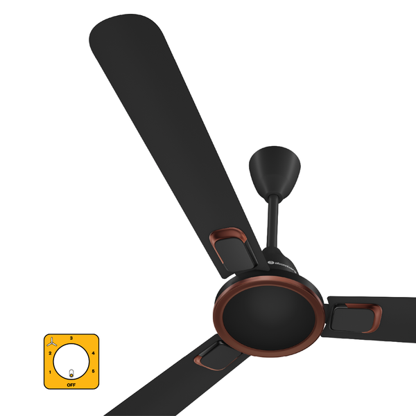 Erica Signature Ceiling Fan