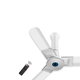 Studio + Ceiling Fan