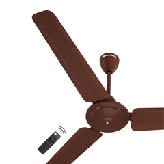 Gloss Brown