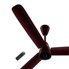 Sangria Brown