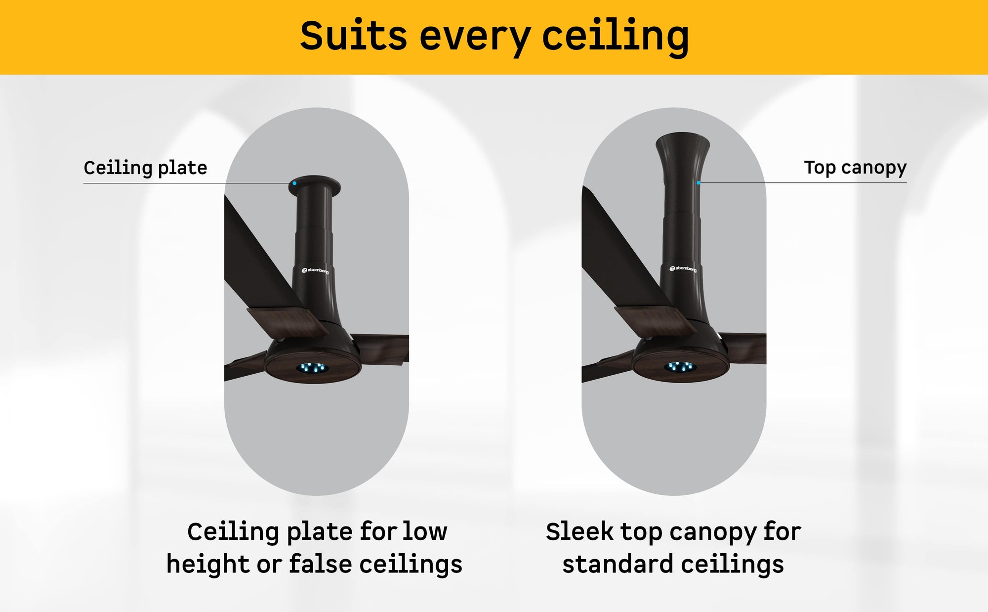 Studio + Ceiling Fan — A+ Row 5