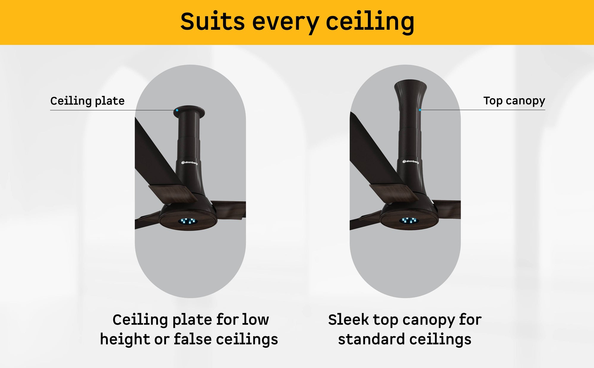 Studio + Ceiling Fan — A+ Row 5