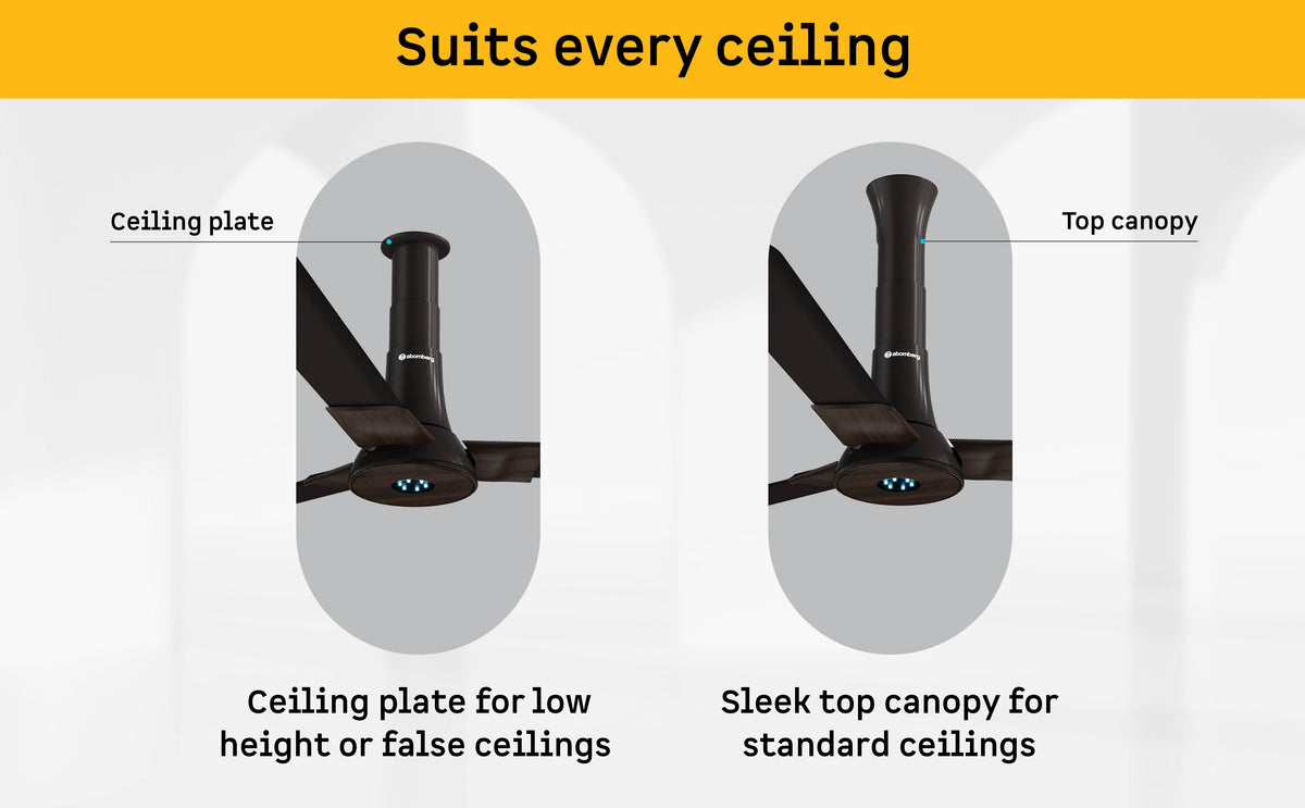 Studio + Ceiling Fan — A+ Row 5
