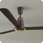 All Fans