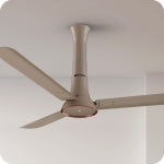 Designer Fans