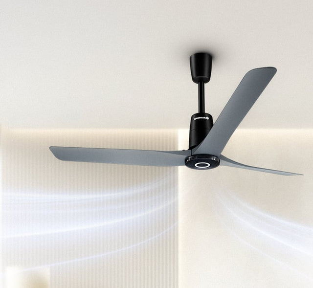 Ceiling Fans