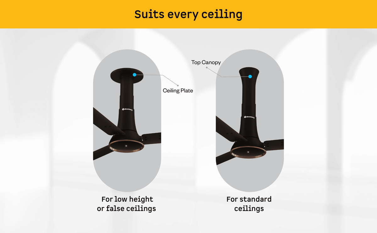 Studio Ventra Ceiling Fan — A+ Row 5
