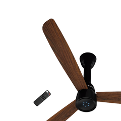 Dark Walnut