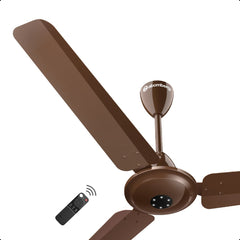 Gloss Brown