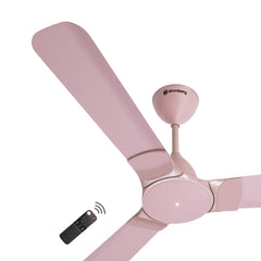 Lotus Pink
