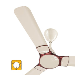 Seasand Ivory