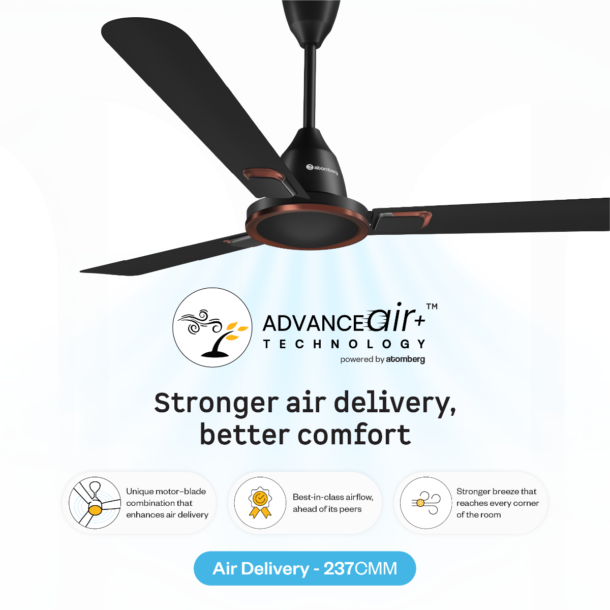 Erica Signature Ceiling Fan