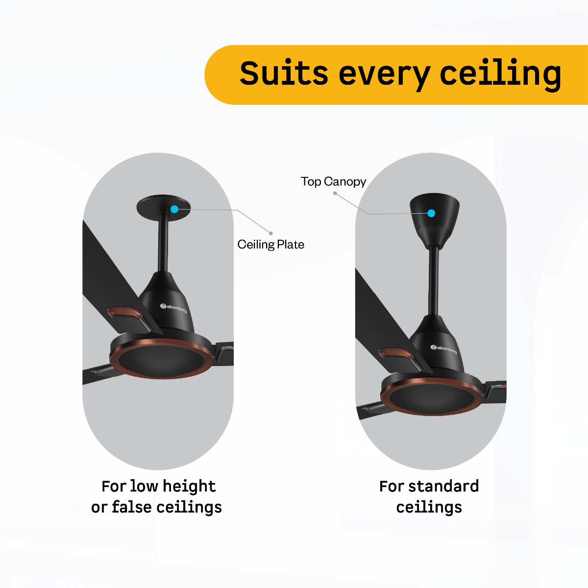 Erica Signature Ceiling Fan