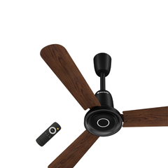 Dark Walnut