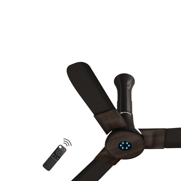 Studio + Ceiling Fan