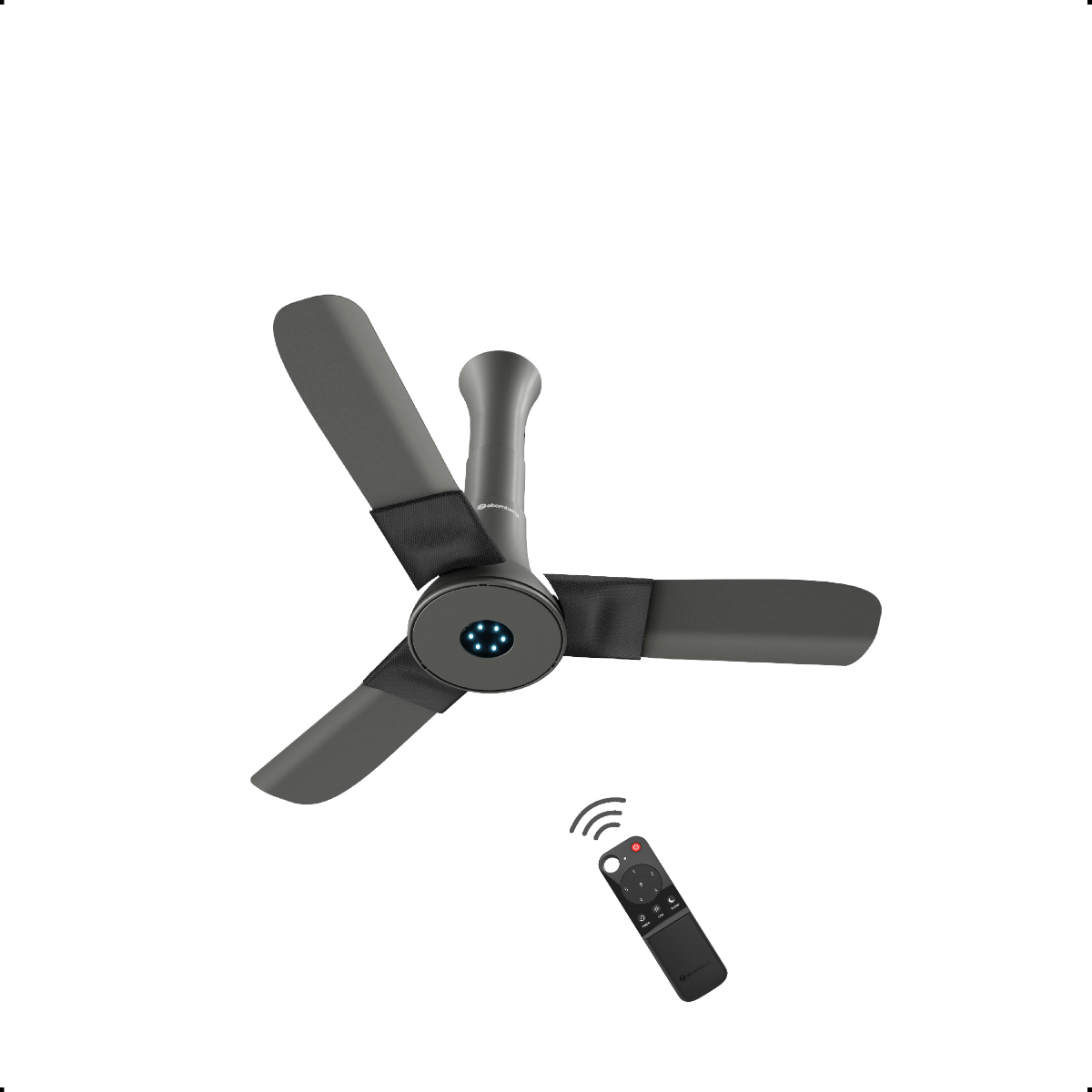 Studio + Ceiling Fan