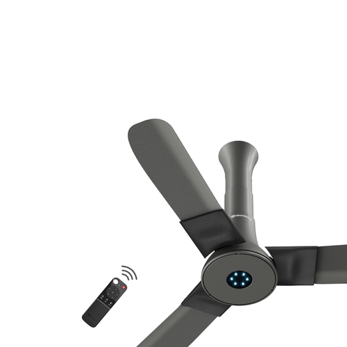 Studio + Ceiling Fan