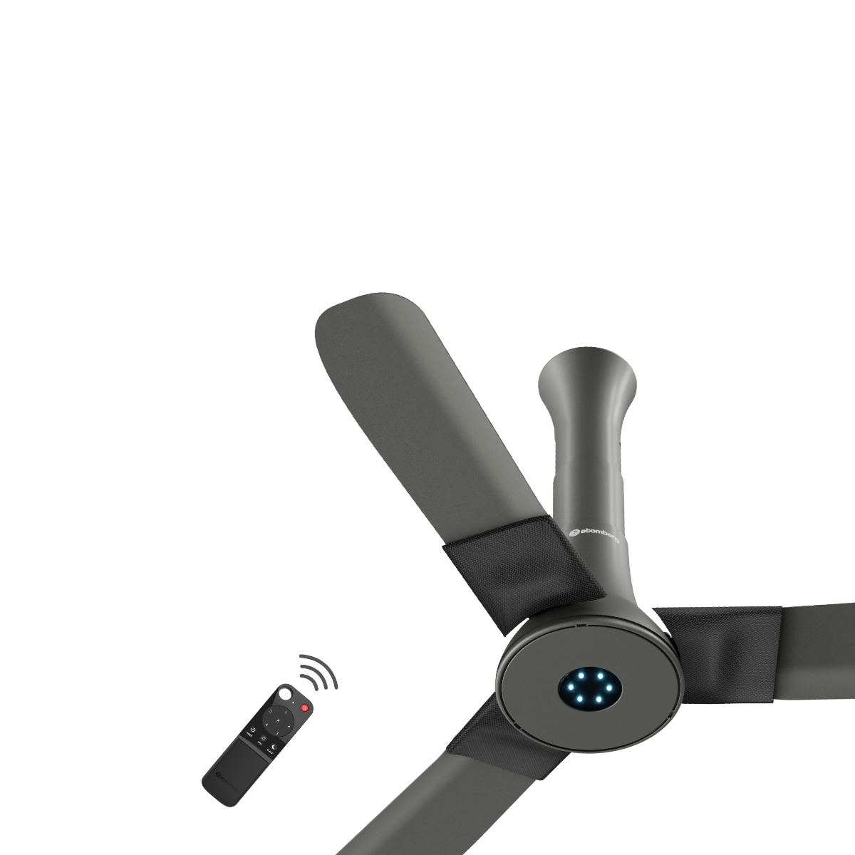 Studio + Ceiling Fan