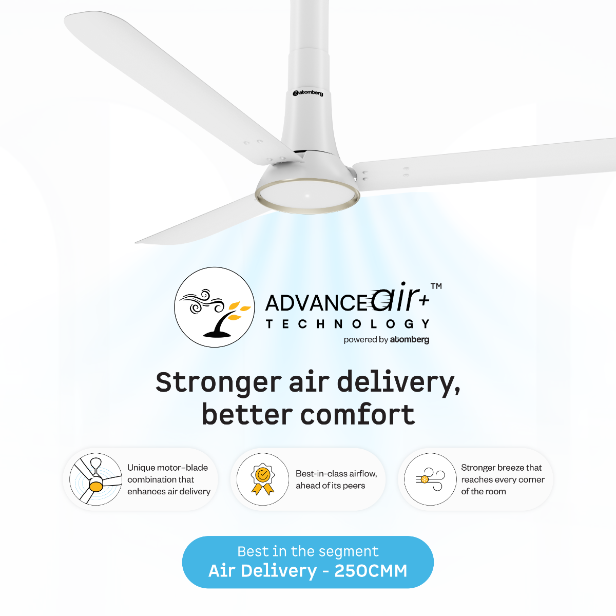 Studio Ventra Ceiling Fan